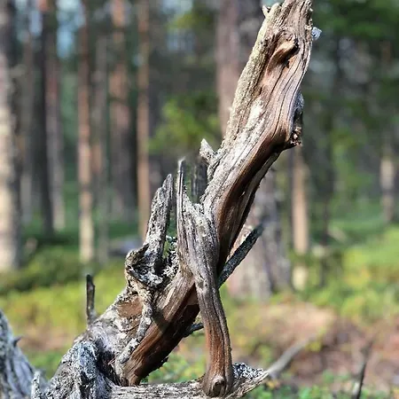 Suomukka شقة Suomutunturi