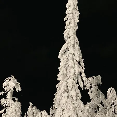 Suomukka شقة Suomutunturi