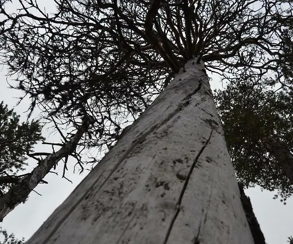 דירה Suomukka Suomutunturi