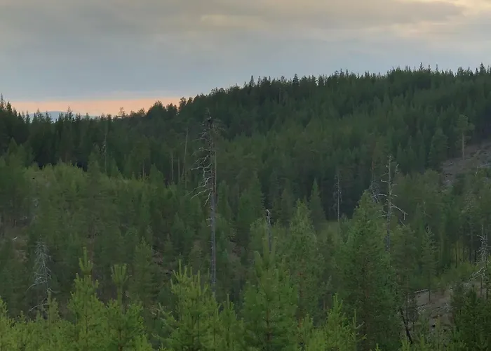 Suomukka * Suomutunturi